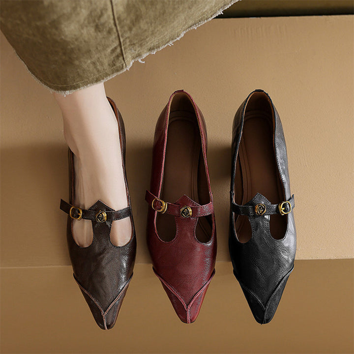 Vintage Leather T-Strap Pointed Toe Mary Jane Shoes in Black/Brown/Angola Red