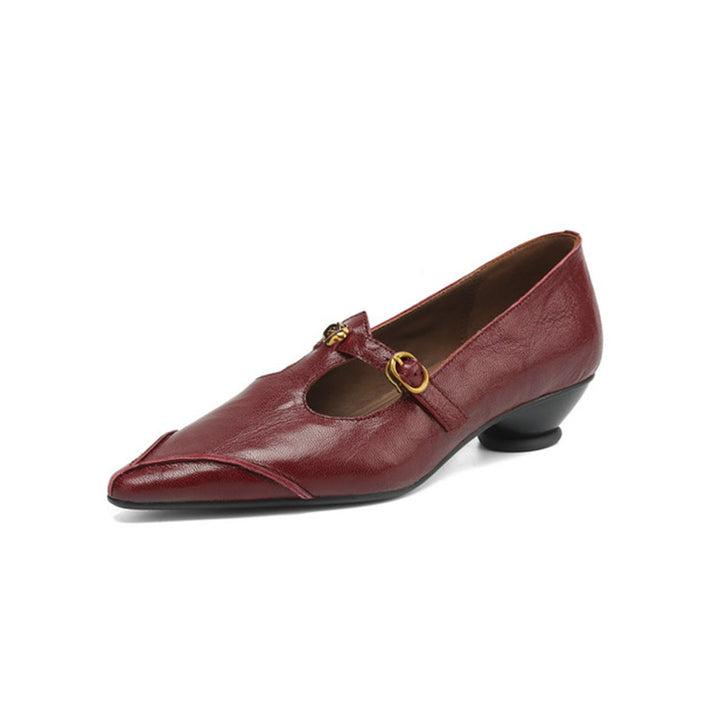 Vintage Leather T-Strap Pointed Toe Mary Jane Shoes in Black/Brown/Angola Red