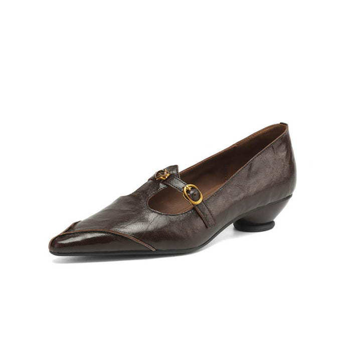 Vintage Leather T-Strap Pointed Toe Mary Jane Shoes in Black/Brown/Angola Red