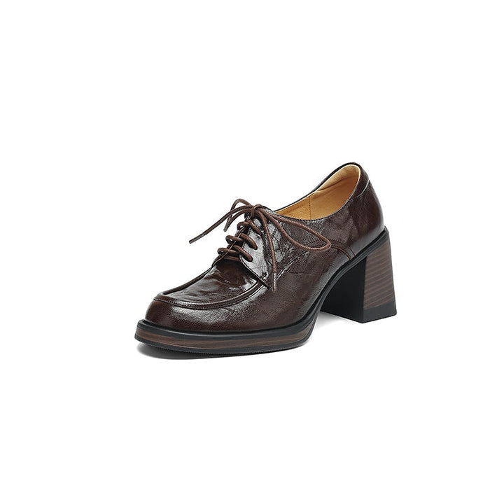 dwarves2560-2 Oxfords &amp; Tie 5 Brown