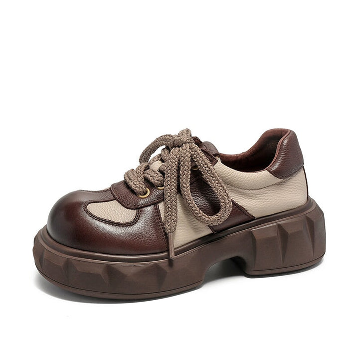 dwarves2837-2 Oxfords &amp; Tie 5.5 Coffee
