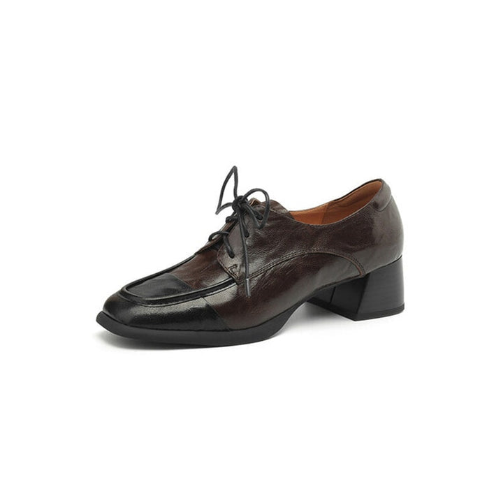 dwarves3183-1 Oxfords &amp; Tie 5 Coffee