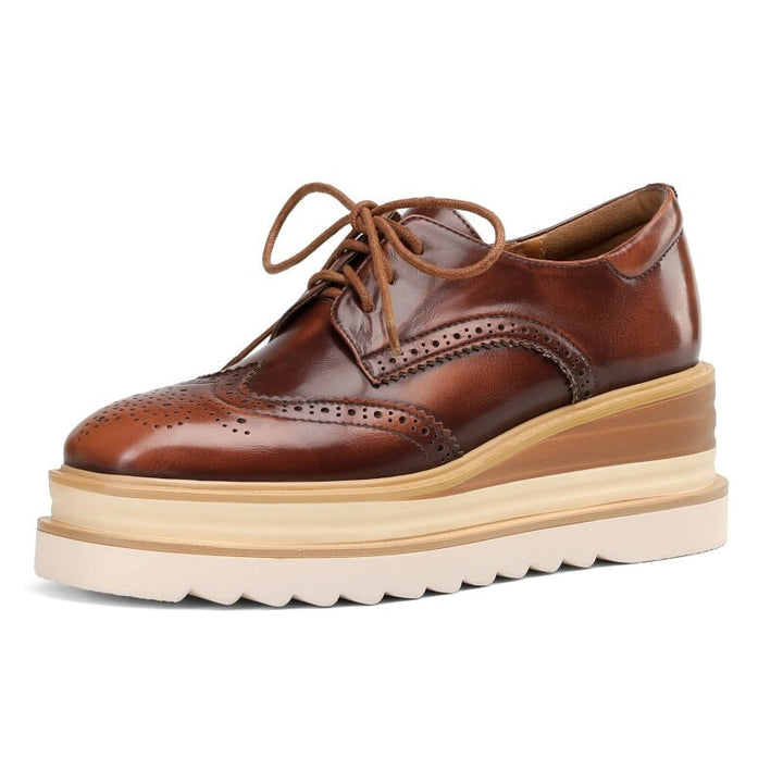dwarves2491-2 Oxfords &amp; Tie 5 Brown