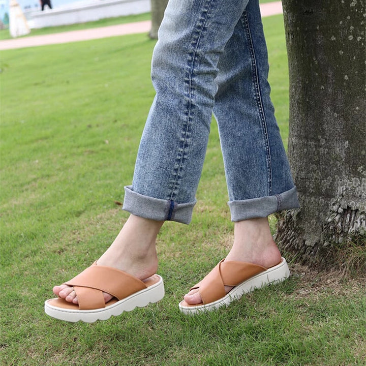 dwarves2536-4 slippers 5.5 Brown
