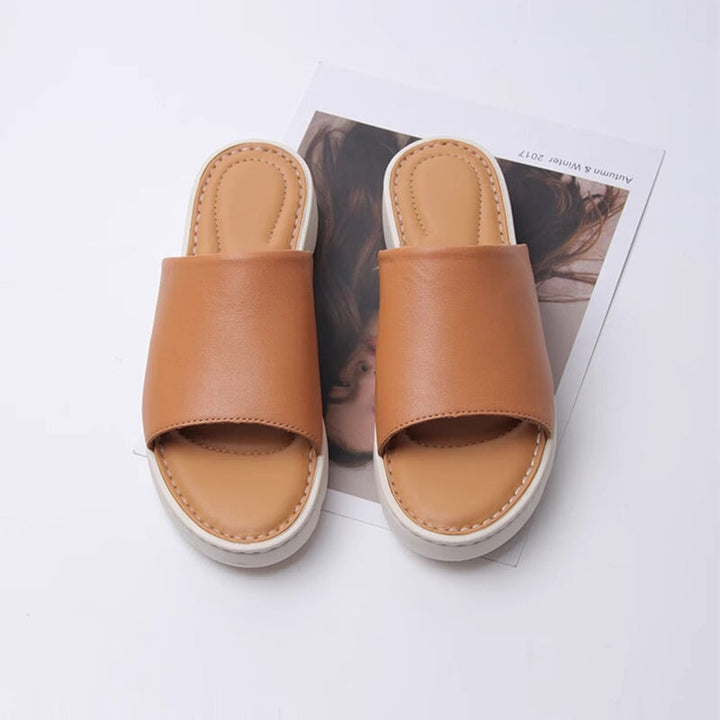 dwarves2538-4 slippers 5.5 Brown